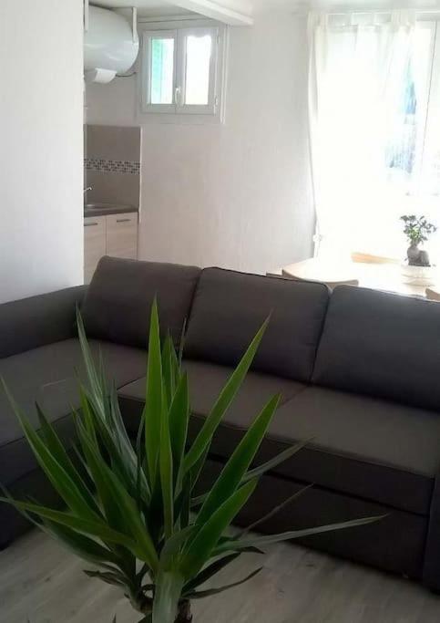 Bienvenus A Rouge Apartment